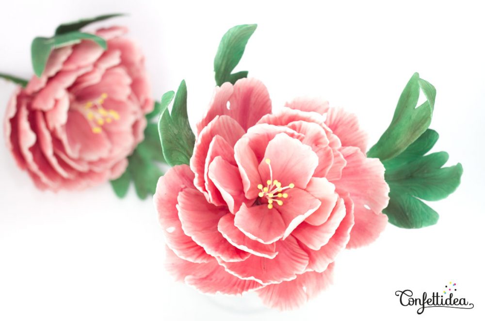 pivoines gumpaste